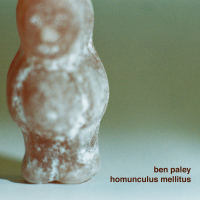 Cover of Homunculus Mellitis, featuring a close-up photograph of a jelly baby.